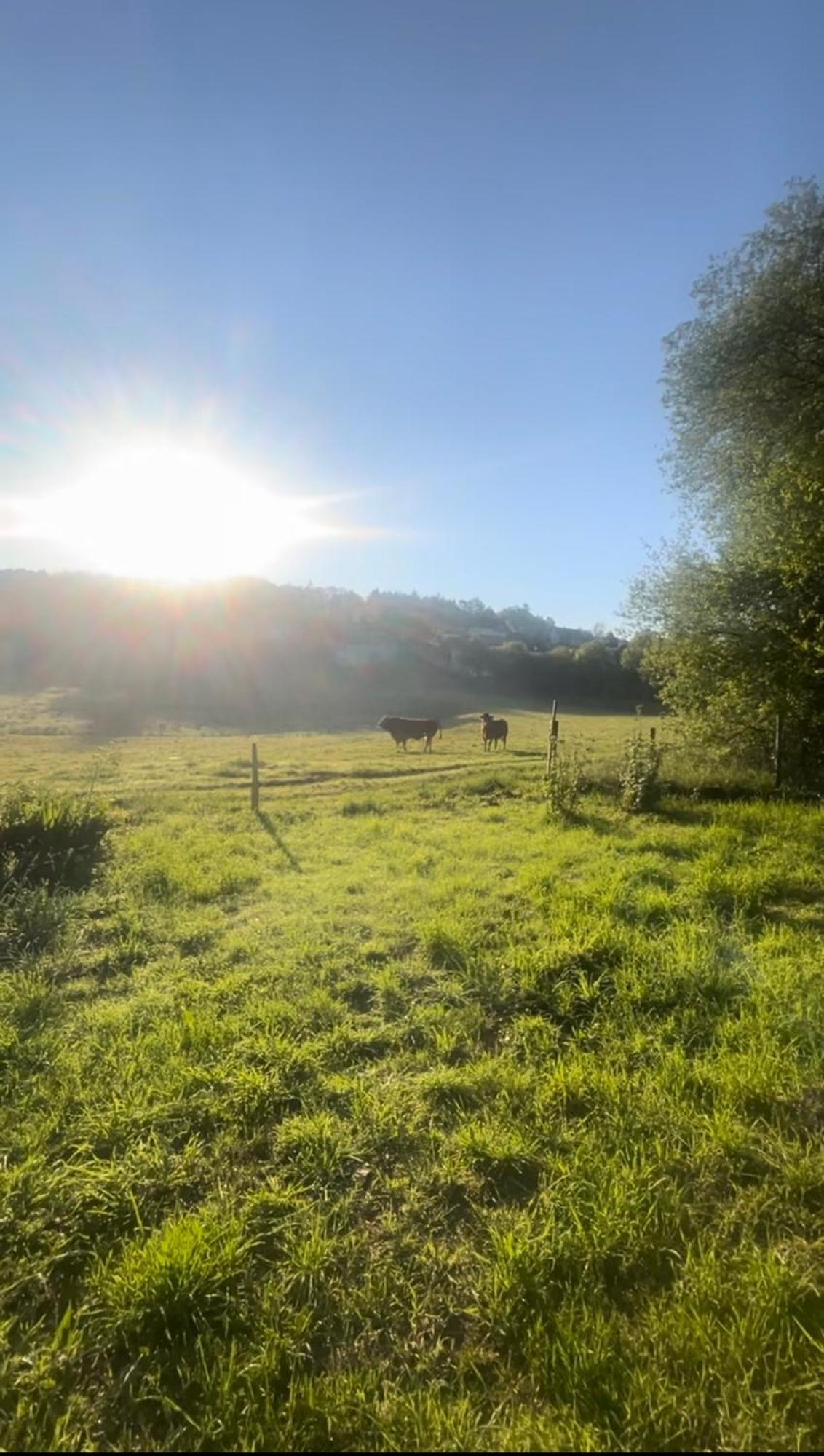 Le Cantou Affieux Buitenkant foto