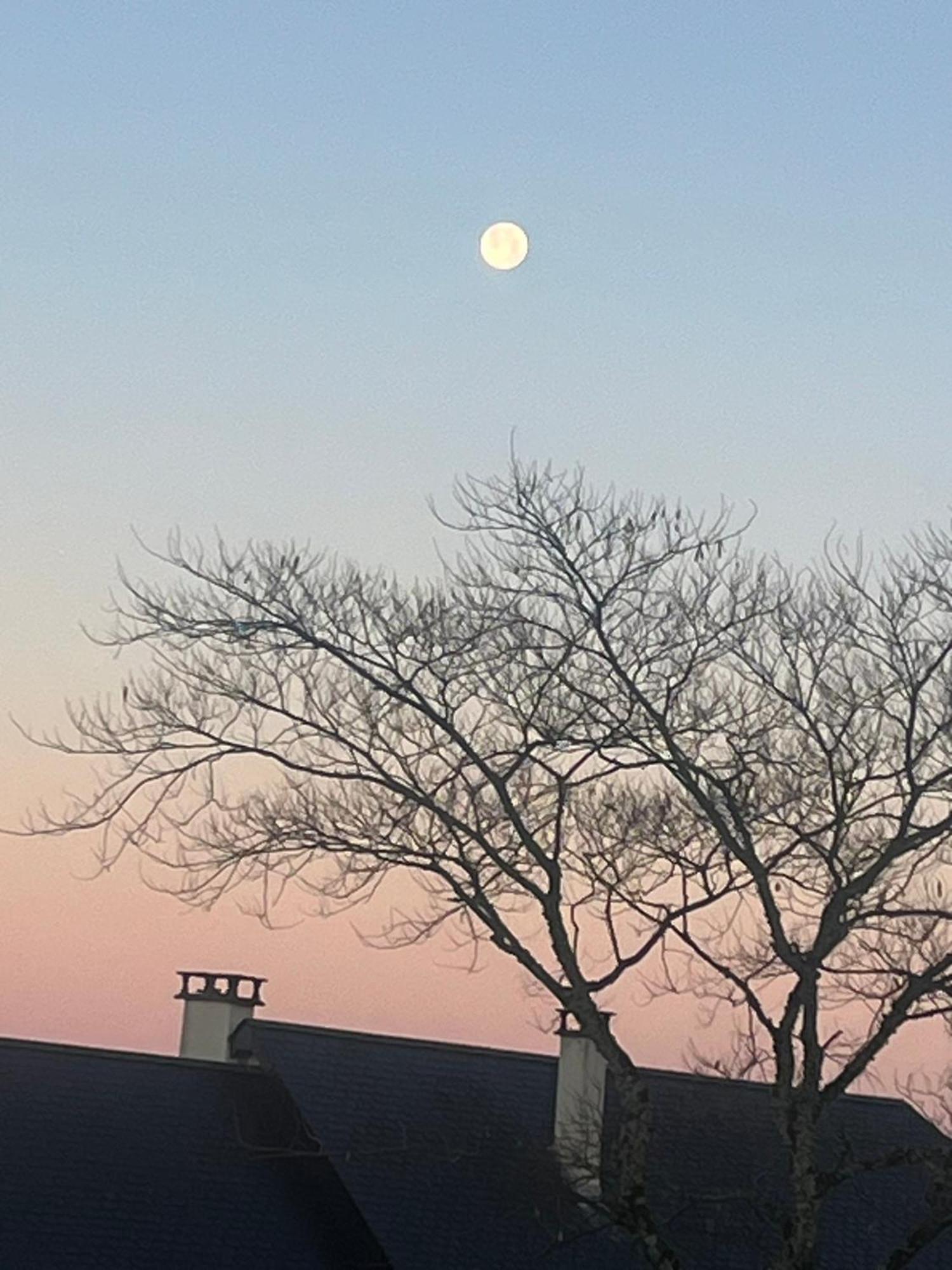 Le Cantou Affieux Buitenkant foto