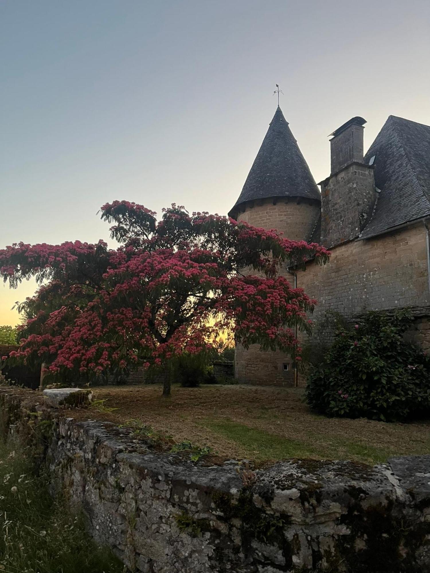 Le Cantou Affieux Buitenkant foto